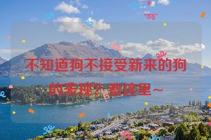 不知道狗不接受新来的狗的表现？看这里~