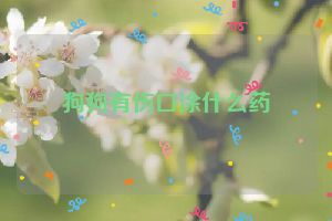 狗狗有伤口涂什么药