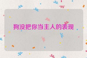 狗没把你当主人的表现