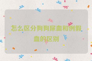 怎么区分狗狗尿血和例假血的区别