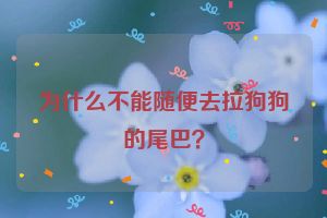 为什么不能随便去拉狗狗的尾巴？