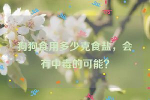 狗狗食用多少克食盐，会有中毒的可能？