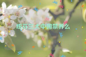 纽芬兰犬中国禁养么