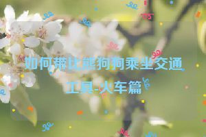 如何带比熊狗狗乘坐交通工具-火车篇