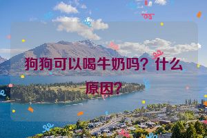 狗狗可以喝牛奶吗？什么原因？