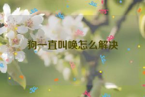 狗一直叫唤怎么解决