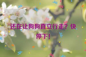 还在让狗狗直立行走？快停下！