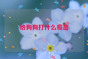 给狗狗打什么疫苗