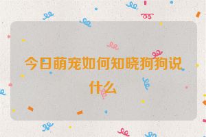 今日萌宠如何知晓狗狗说什么