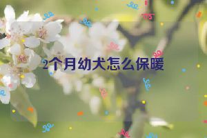 2个月幼犬怎么保暖