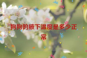 狗狗的腋下温度是多少正常