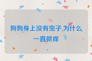 狗狗身上没有虫子,为什么一直抓痒