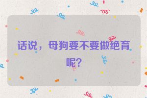 话说,母狗要不要做绝育呢?