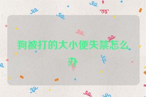 狗被打的大小便失禁怎么办