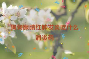 狗狗眼睛红肿发炎吃什么消炎药