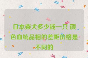 日本柴犬多少钱一只 颜色血统品相的差距价格是不同的