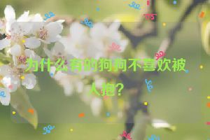 为什么有的狗狗不喜欢被人抱？