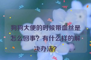 狗狗大便的时候带血丝是怎么回事？有什么样的解决办法？