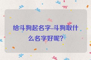 给斗狗起名字-斗狗取什么名字好呢？