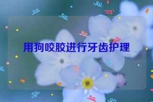 用狗咬胶进行牙齿护理