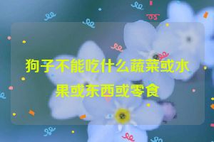 狗子不能吃什么蔬菜或水果或东西或零食