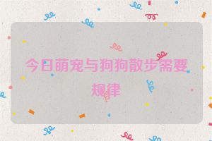 今日萌宠与狗狗散步需要规律