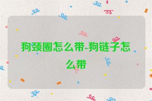 狗颈圈怎么带-狗链子怎么带