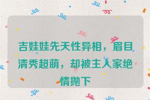 吉娃娃先天性异相，眉目清秀超萌，却被主人家绝情抛下