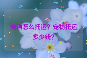 宠物怎么托运？宠物托运多少钱？