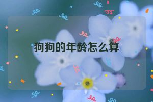 狗狗的年龄怎么算