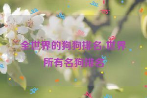 全世界的狗狗排名-世界所有名狗排名