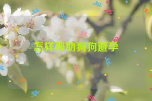 怎样帮助狗狗避孕