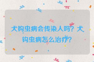 犬钩虫病会传染人吗？犬钩虫病怎么治疗？