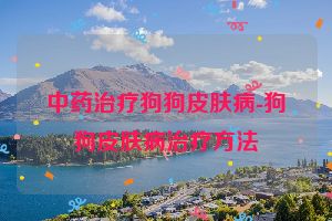 中药治疗狗狗皮肤病-狗狗皮肤病治疗方法