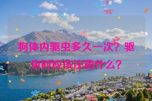 狗体内驱虫多久一次？驱虫时应该注意什么？