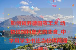 如何饲养德国牧羊犬 动物性饲料是犬的主食_中学用学生书法当校牌两周一换