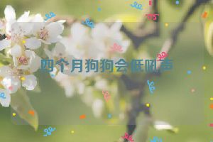 四个月狗狗会低吼声