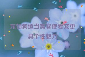 宠物狗适当美容使爱宠更具个性魅力