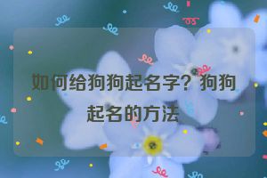 如何给狗狗起名字？狗狗起名的方法