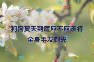 狗狗夏天到底应不应该将全身毛发剃光