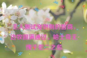 主人测试宠物狗的智商，边牧圆满通过，哈士奇无愧于犯二之名