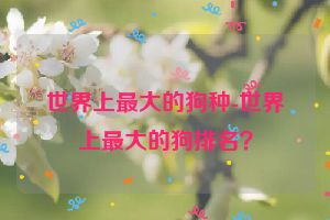 世界上最大的狗种-世界上最大的狗排名？