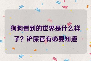 狗狗看到的世界是什么样子？铲屎官有必要知道