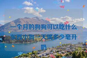 一个月的狗狗可以吃什么东西小狗一天喝多少毫升奶
