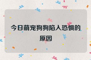 今日萌宠狗狗陷入恐惧的原因