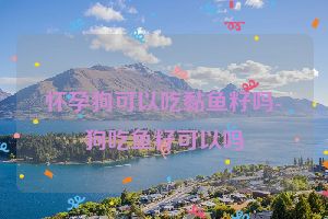 怀孕狗可以吃黏鱼籽吗-狗吃鱼籽可以吗