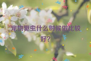 宠物驱虫什么时候做比较好？