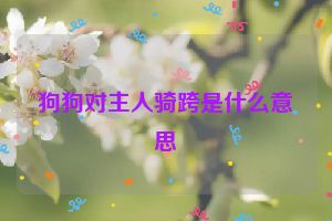 狗狗对主人骑跨是什么意思