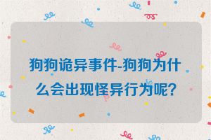 狗狗诡异事件-狗狗为什么会出现怪异行为呢？