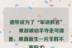 德牧成为了“军训教官”，結果却被幼羊夺走可谓是，果真新生一片羊群不害怕犬